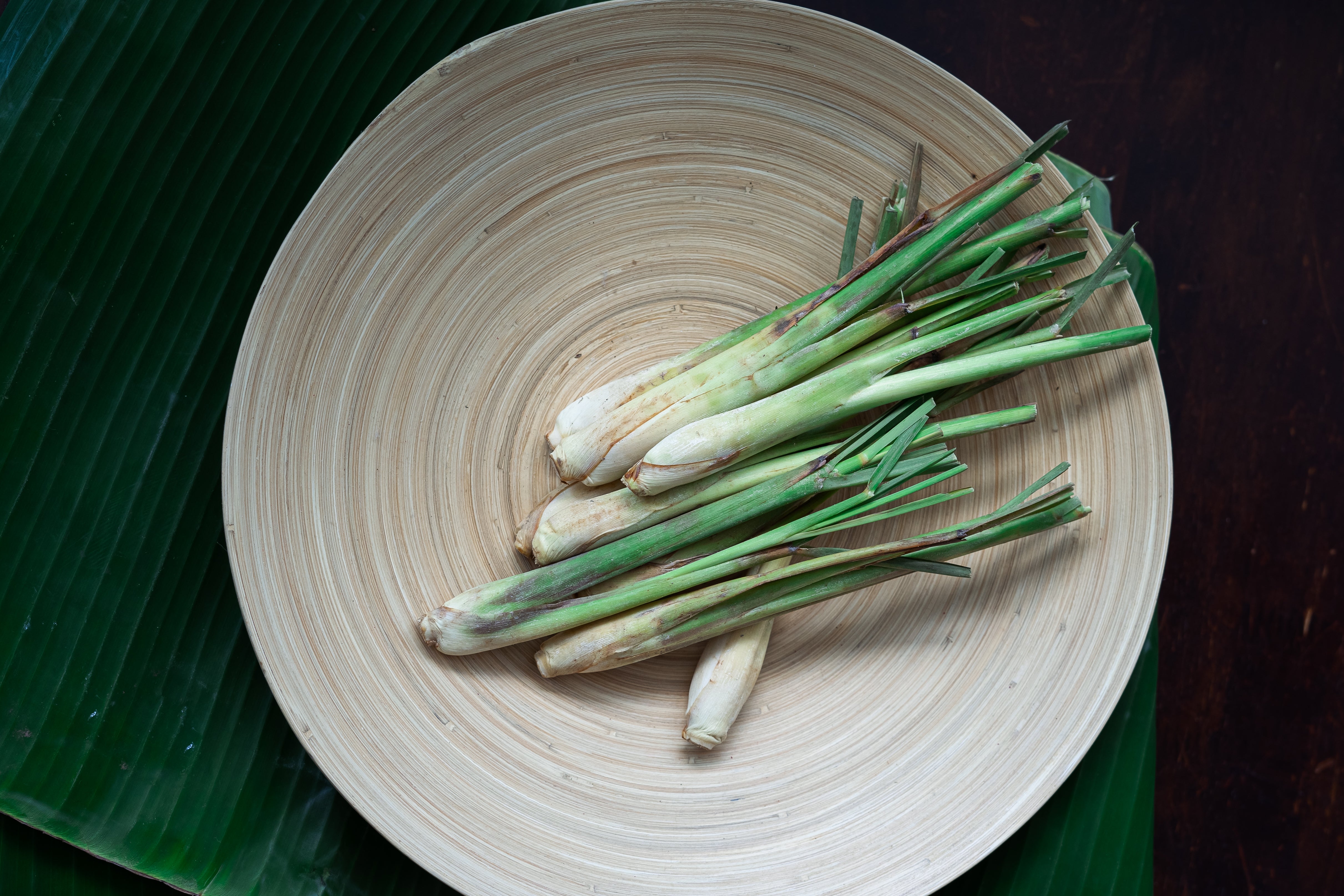 Nature's Guard: The Citronella and Lemongrass Soap Experience