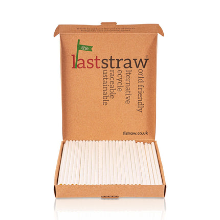 the Last Straw - 100% Biodegradable Paper Drinking Straws (100 Pack)(Plain) - General Healthcare