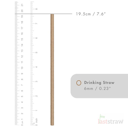 the Last Straw - 100% Biodegradable Paper Drinking Straws (100 Pack)(Plain) - General Healthcare
