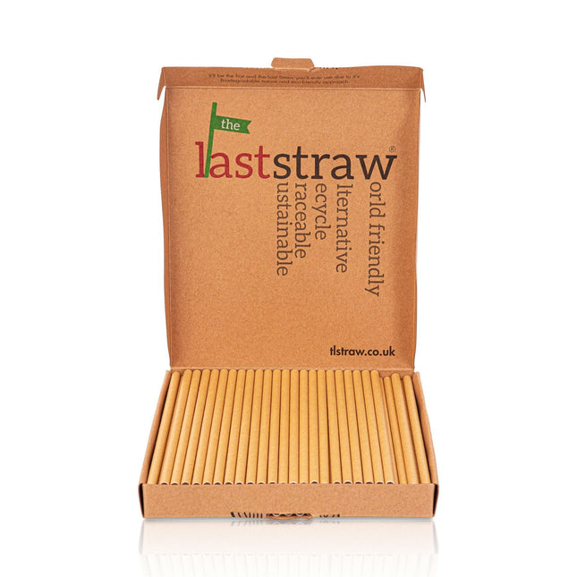 the Last Straw - 100% Biodegradable Paper Drinking Straws (100 Pack)(Plain) - General Healthcare